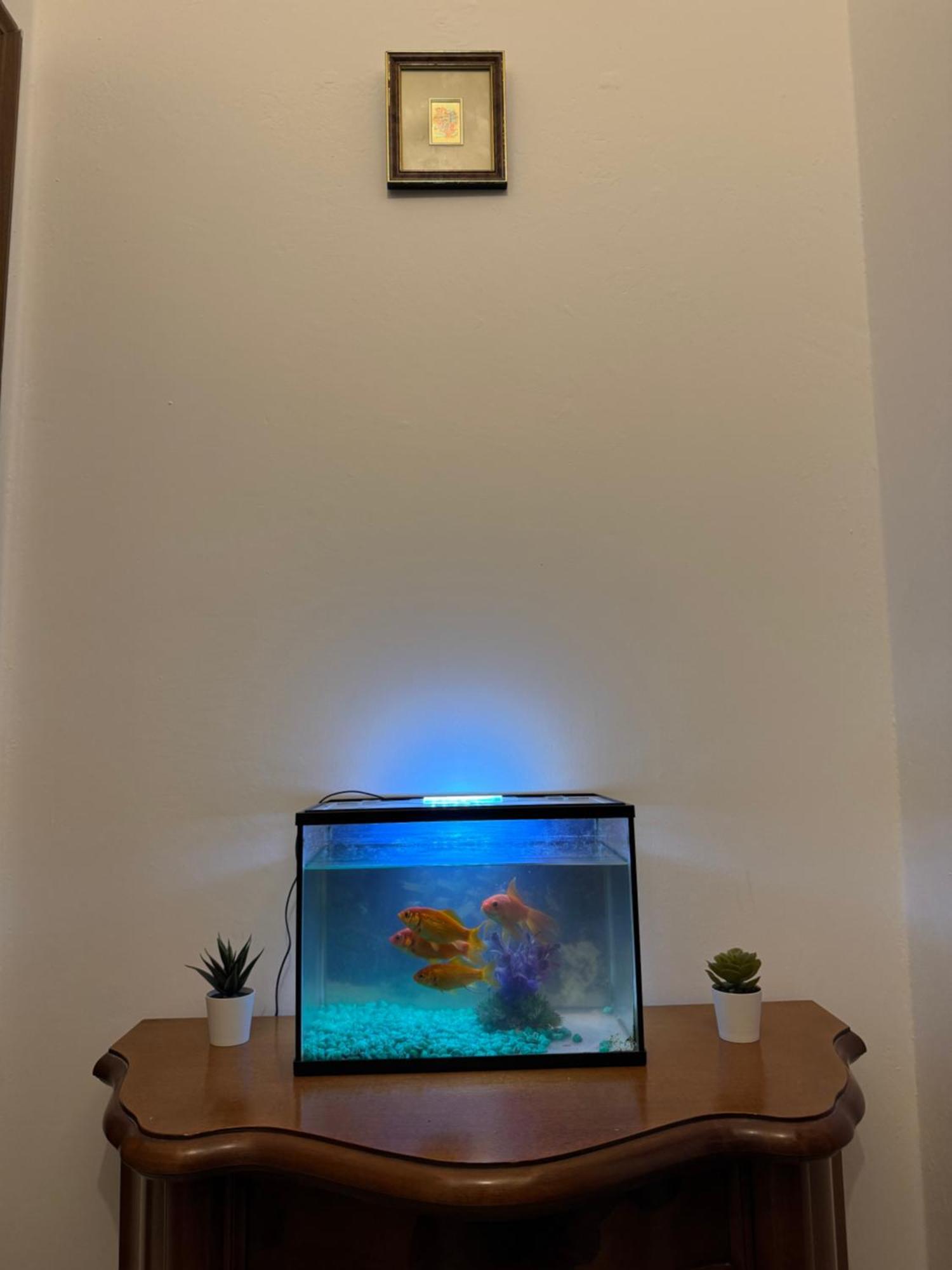 The Rialto Rest Apartment Venice